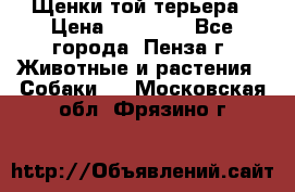 Щенки той терьера › Цена ­ 10 000 - Все города, Пенза г. Животные и растения » Собаки   . Московская обл.,Фрязино г.